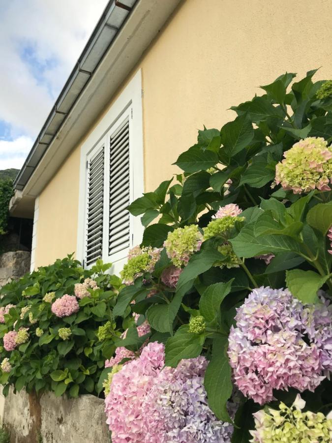 Etno Village Mihailovic Herceg Novi Exterior foto