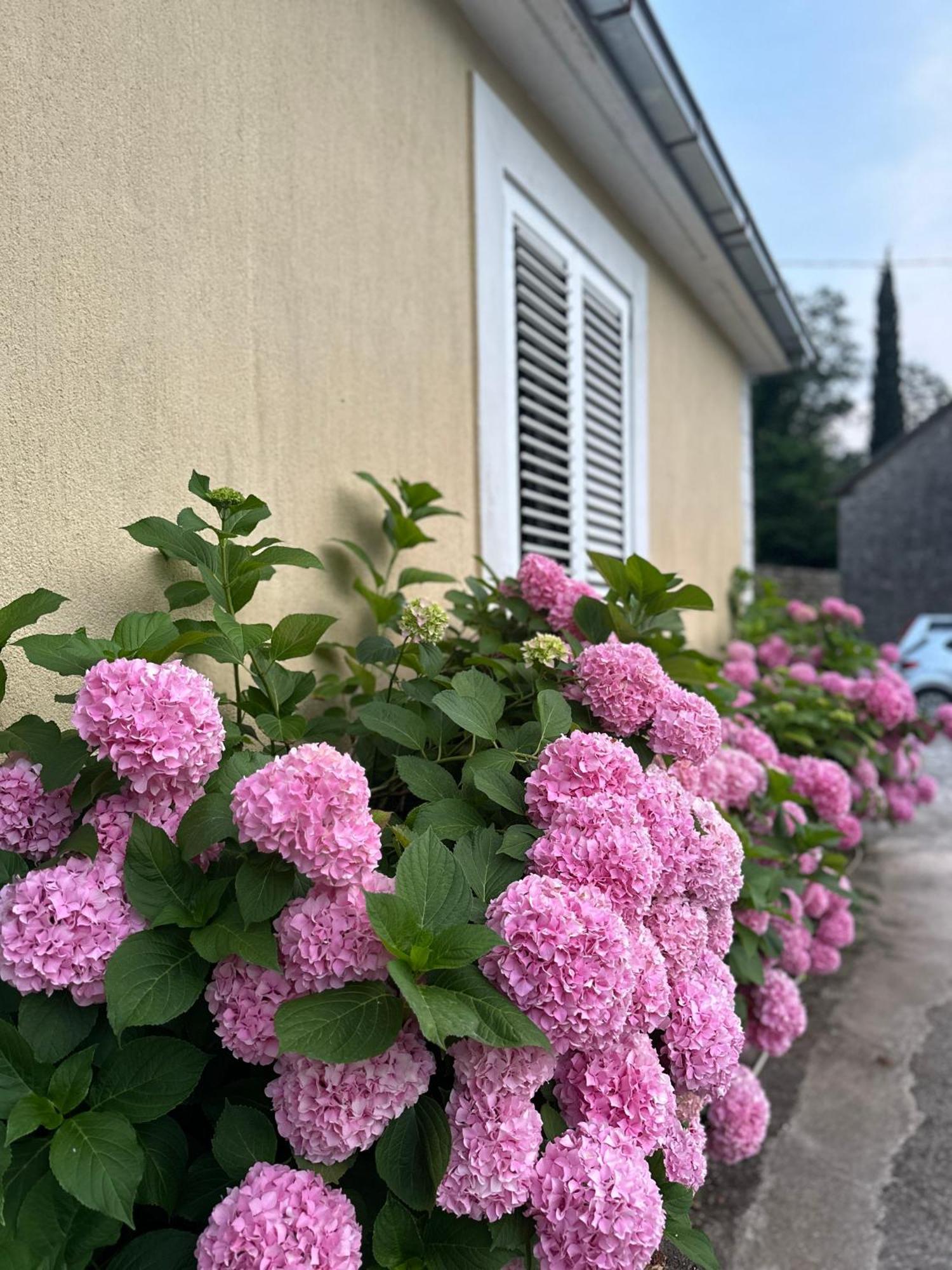 Etno Village Mihailovic Herceg Novi Exterior foto