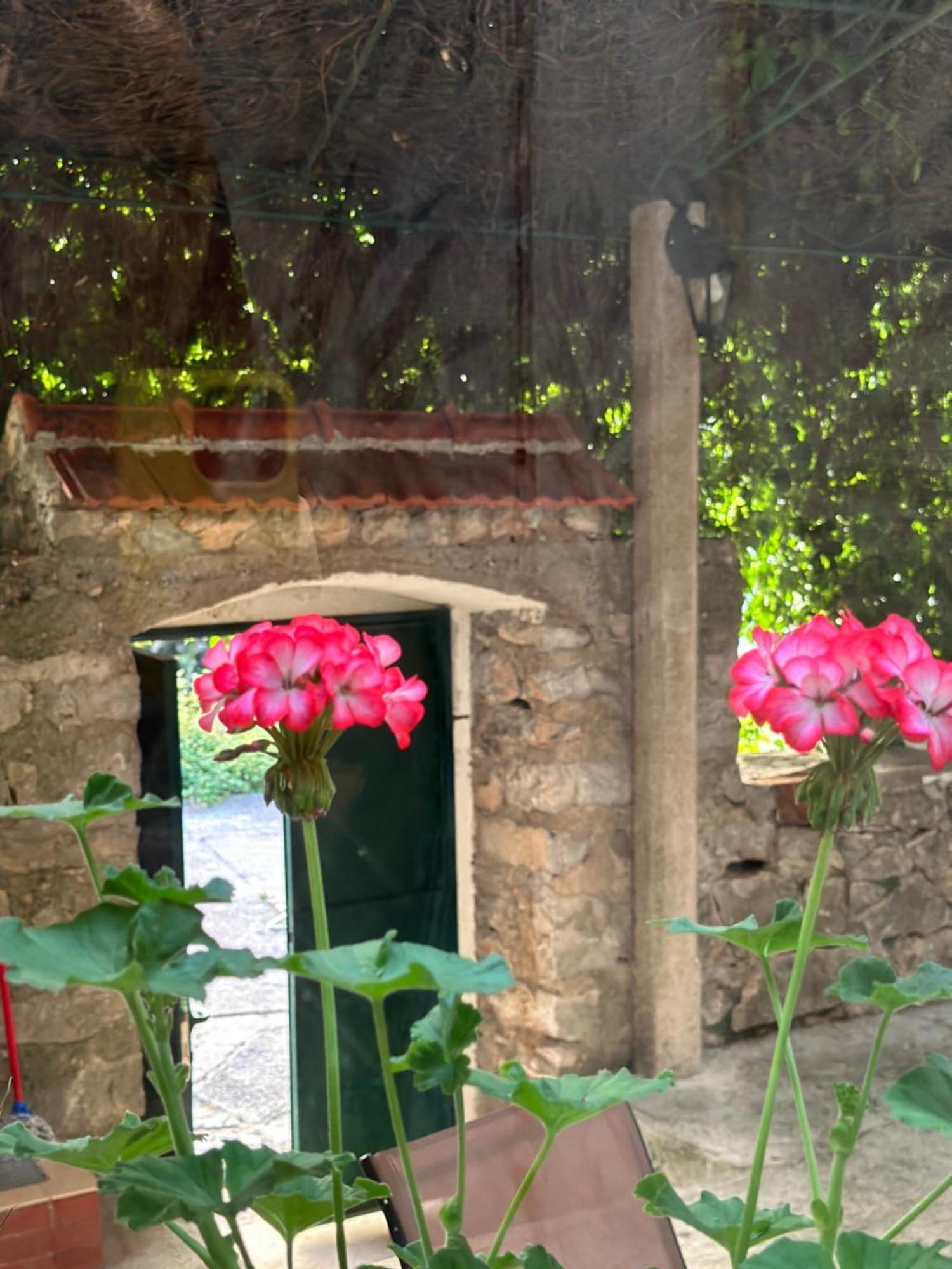 Etno Village Mihailovic Herceg Novi Exterior foto